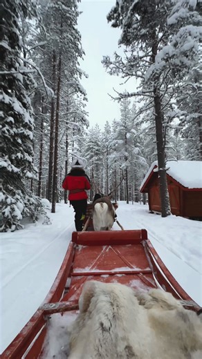 Zaza Nguyen (TINA) | california & travel on Instagram: "Never in a million years did I think I’d be riding a reindeer sleigh in Finland… yet here I am 🦌❄️ Dreams really do come true and sometimes, the magic hits even harder when you least expect it. ✨ Even though this trip was planned months in advance, I barely did any research and came with no expectations — and maybe that’s why I fell so deeply in love with Lapland. Every moment felt new, peaceful, and straight out of a fairytale. If you’re 