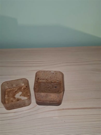 Growing Mold: Day 3 of My Experiment