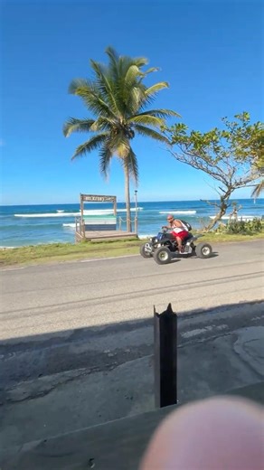 Banshee Flyby! #yamahabanshee #banshee350 #flyby #atv