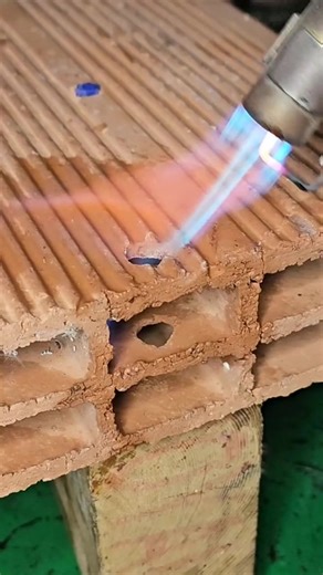 TikTok Trends in India: Latest Highlights