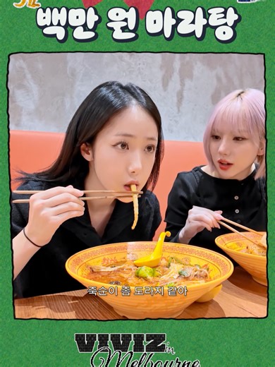 VIVIZ 호주 멜버른 공연에서의 매력