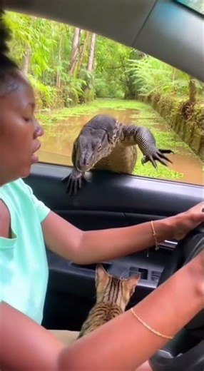 CRAZY JUNGLE ENCOUNTER! 🐊 Driving Through Floods With A Predator!