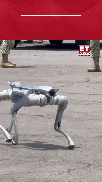 Mexicos Army has showcased its Xolotl robotic dog, an advanced system developed to assist defence operations in challenging environments