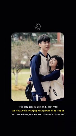 I Like You So Much, You'll Know It - Chinese OST