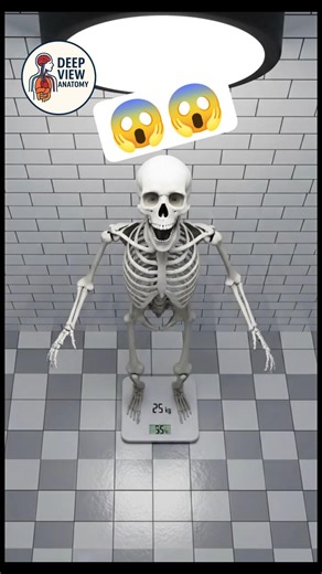 When the Skeleton Realizes It Gained Weight 💀🍕😱 | Skeleton Diet #shorts