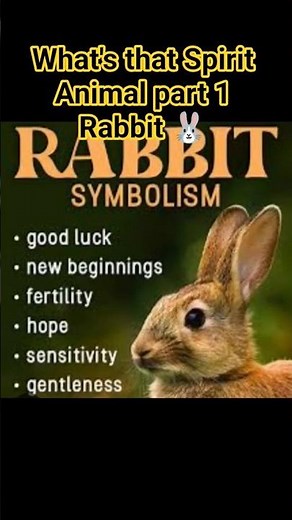 What's that Spirit Animal part 1Rabbit 🐰