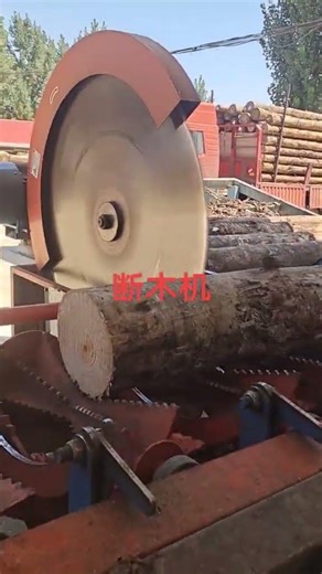 Wood Cutting That Feels So Good #woodcutting #woodcut #cuttingwood #woodtools #woodlife #clean_cut