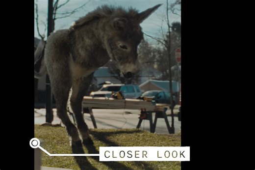 VIDEO: Some people think this ad is demeaning — to donkeys
