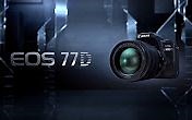 Introducing the Canon EOS 77D