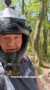 Behind the scenes that bald eagle forest #TheBeatenTrail #TheBeatenTrailLLC | The Beaten Trail LLC