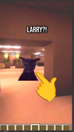 Fell Into Backrooms With Larry! #minecraft