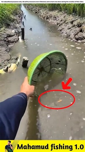 What fish did he catch in the drain water?🐟#viralvideo #facts #fishinggear #fishinglife #fish