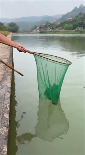 They Threw a Watermelon Into the River… Then This Happened #viral #shorts #comedy
