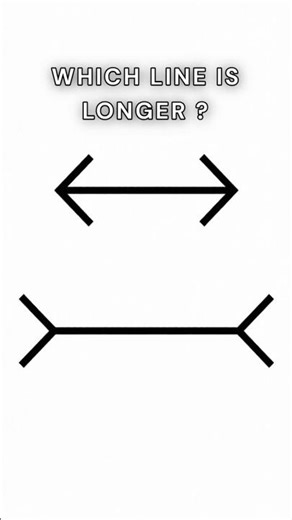 Which Line Is Longer? 🤯