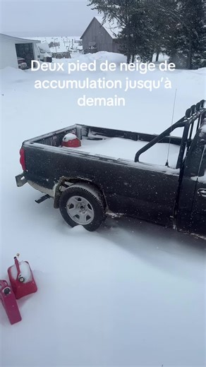 Berguine la reguine 4.3 (@gtsnowrunner1)’s videos with sonido original - Jerryto Velarez