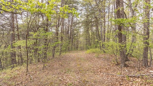 454.56 /- Acre Farm In The Alleghany Highlands Near Lake Moomaw | Whitetail Properties