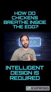 33K views · 718 reactions | How Does the Chicken Breathe Inside the Egg? It's simple... Intelligent Design! | Founded Earth Brothers | Facebook