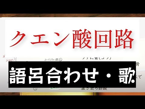 クエン酸回路が2分半で覚えられる魔法の動画【歌・語呂合わせ】