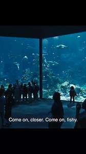 Movies Netflix 2024 | Classic TV | Facebook