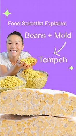 How To Make Tempeh At Home From Scratch (Step by Step)