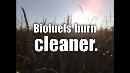 10 Big Pros and Cons of Biodiesel