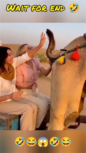 Crazy epic fails 😂😂😂 Ep 129 | 100% Cooked | #shorts #memes #fails #funnymoments