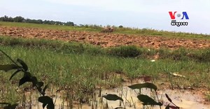 Changing Climate Has Major Impacts for Under-Prepared Cambodia