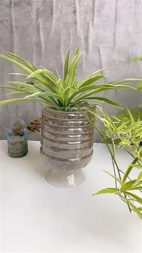 Very beautiful flowers pots | Create recycle plastic bottle into flower pots #shorts #diy #flowers