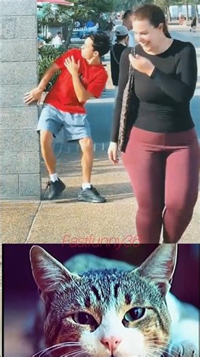Laughing Trick 😂 #cat #meme #dance #trending
