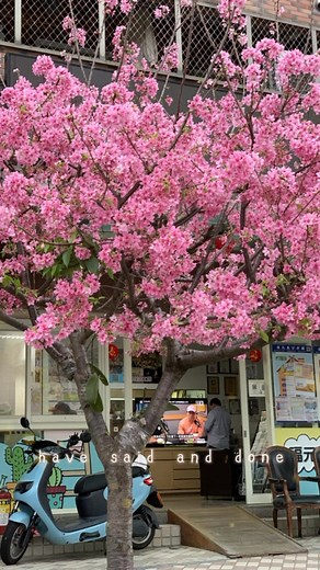 ❣️@台灣生活追花日記🩷 在花間相逢，如約而至的浪漫🌸💕 | Michelle Lam