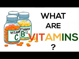 What Are Vitamins?