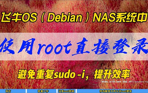 飞牛OS（Debian）NAS系统中使用root直接登录~避免重复sudo -i，提升效率~