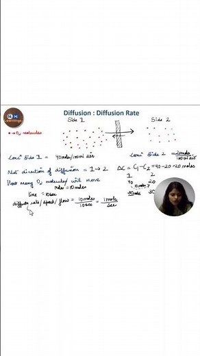 Physics of Gas Part 4 I Fick's Law, Diffusion Coefficient, Diffusing Capacity Respiratory Physiology
