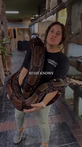 60K views · 1.5K reactions | The Story Of The Woman And Her Pet Snake. Follow: for more! #motivation #success #wifimoney #motivationalspeakers #entrepreneurquotes #moneygoals #qoutesaboutlife #successmentor #lifeqoutes #quotes4you #younghustlers #habits #growthmindset #morningmotivation #advice #focusonsuccess #rules #auctus #successwoman | Mindset Mastery | Facebook