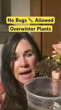 Bring Plants in 🐛No Bugs - overwinter// Campbell’s Freedom Farm