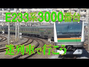 【迷列車で行こう】#4 E233系3000番台近郊型 上野東京ライン・湘南新宿ライン系統 (修正版) ～突然の登場から激動の時を乗り越えて活躍する名車の中の迷車～