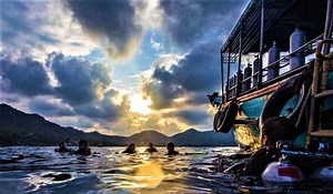 Koh Tao Diving Guide - Everything You Need To Know!