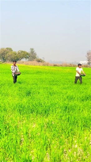 #desi #life 😎🌱