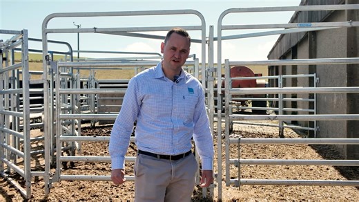 2.3K views | Take a tour through one of our new Cattle Handling Systems in Scotland! We design and install Cattle Handling Systems across the UK, tailoring each build to suit your space, herd size, and working style. For more information, contact Giles on +44 7557 318211 | Te Pari United Kingdom | Facebook