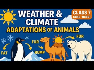Class 7 Science Chapter 7 |Weather, Climate & Animal Adaptations | NCERT CBSE Explained with Notes