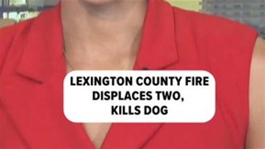 Lexington County fire leaves two without home, kills dog