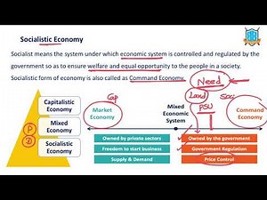 What is Socialist Economy ? || Socialism అంటే ఏమిటి? || La Excellence