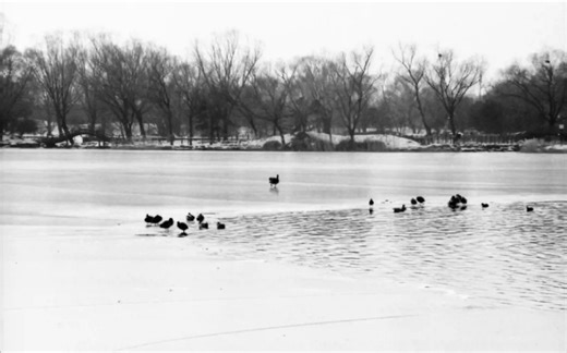 美能达a360si胶片机出片