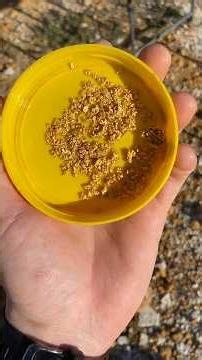 Cleaning gold nuggets for beginners #metaldetecting #goldnugget