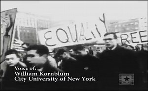 Social Action: Part 7