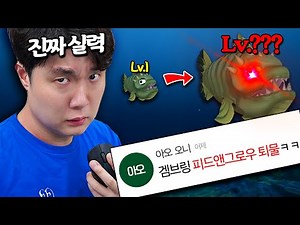 🐠Bringer's growth story, back to basics thanks to the support of Bronies!! Feed & Grow will show ...