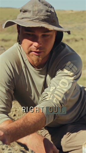 A Tiny Fossil Find in Montana… Could This Be a Juvenile Hadrosaur?