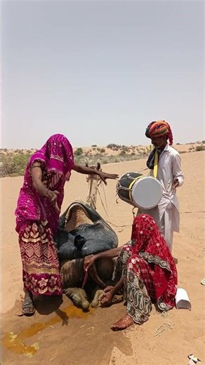 مزيج رائع من الرمال والتراث والابتسامة!"
