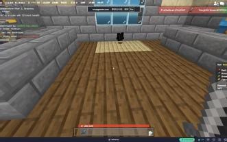 【2024】bloxd的新bug吗