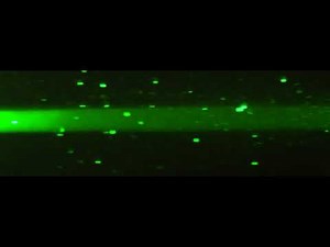 Digital Particle Tracking Velocimetry (DPTV) example